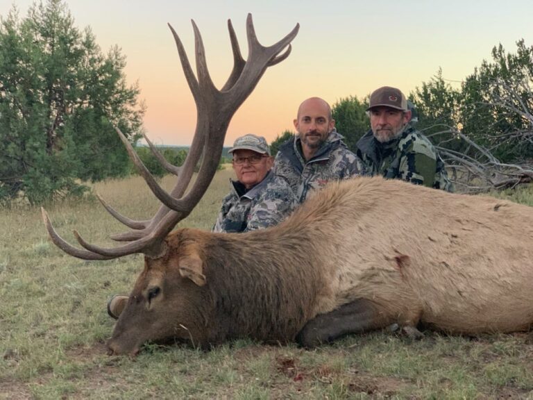 New Mexico Elk Hunting Top Notch Outfitters