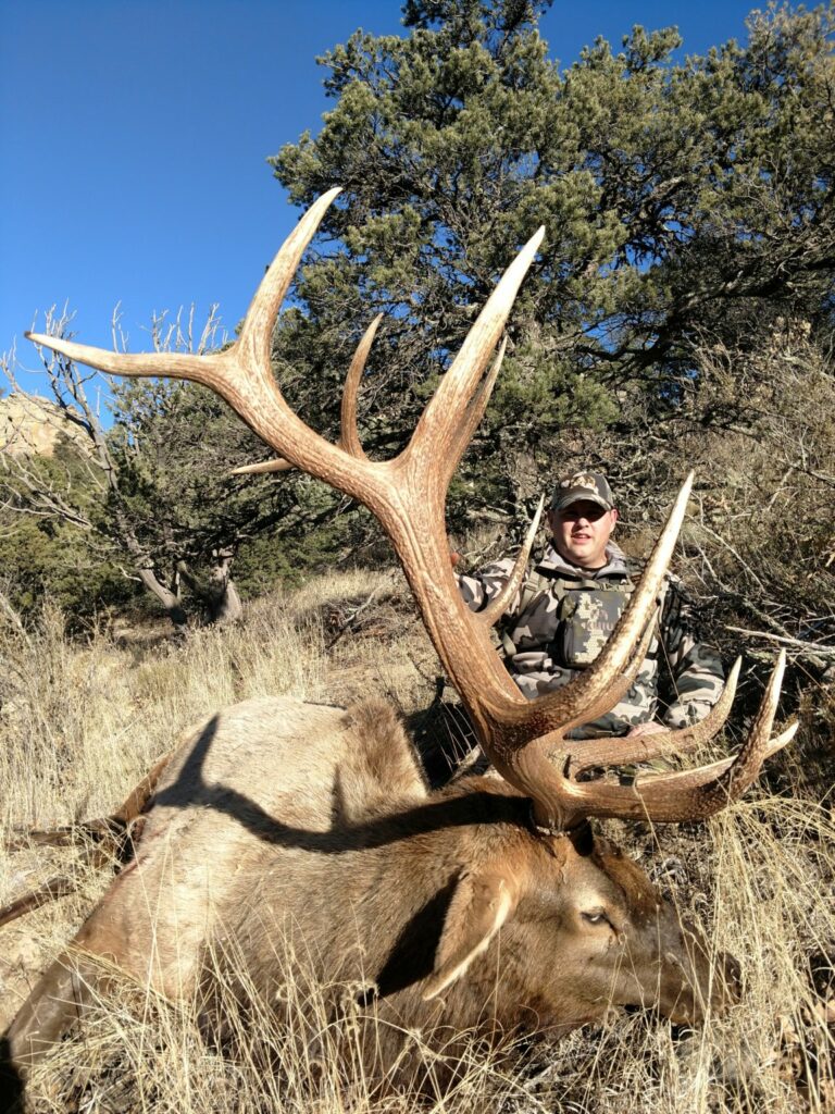 New Mexico Elk Hunting Top Notch Outfitters